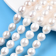 Natural Cultured Freshwater Pearl Beads Strands, Rice, Seashell Color, 8~12x9~9.5mm, Hole: 0.7~0.8mm, about 36~38pcs/strand, 14.37 inch(36.5cm)(PEAR-N012-09D)