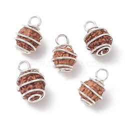 Natural Rudraksha Copper Wire Wrapped Pendants, Barrel Charms, Undyed, Silver, 15~17.5x11~12x10.5~11.5mm, Hole: 3mm(PALLOY-JF02068-02)