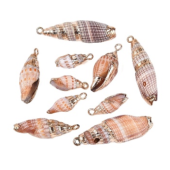 Electroplate Natural Spiral Shell Pendants, Conch Shell Charms with Golden Tone Iron Loops & Brass Edge Findings, Sandy Brown, 17~35.5x6~11.5x6~10.5mm, Hole: 1.6~1.8mm