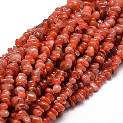 Dyed Natural Carnelian Chip Beads Strands, 5~14x4~10mm, Hole: 1mm, about 15.5 inch~16.1 inch(X-G-E271-74)