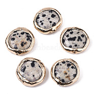 Natural Dalmatian Jasper Beads, with Light Gold Plated Polymer Clay Edge, Flat Round, 17~19x17~18x5~7mm, Hole: 1.2mm(X-G-S359-112)
