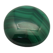 Natural Malachite Cabochons, Grade A, Half Round/Dome, Green, Size: about 20mm in diameter, 5mm thick(X-MALA-20D-6)