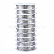 Round Copper Jewelry Wire, Silver Color Plated, 24 Gauge, 0.5mm, about 26.24 Feet(8m)/roll, 10 rolls/group(CWIR-S002-0.5mm-01)