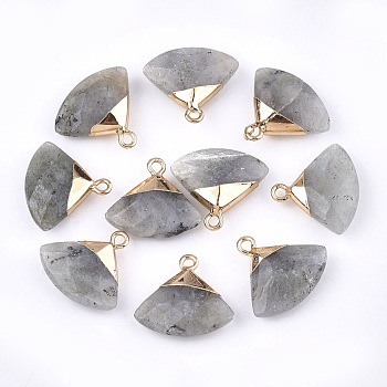 Electroplate Natural Labradorite Pendants, with Brass Findings, Faceted, Triangle, Golden, 17~18x19~20x6~7mm, Hole: 1.8mm
