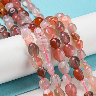 Natural Red Agate Beads Strands(G-P497-01A-12)-2