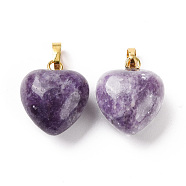 Natural Lepidolite Pendants, with Golden Tone Brass Findings, Heart Charm, 18x15~15.5x6~8mm, Hole: 6x3mm(G-I311-A39-G)