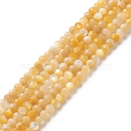 Natural Golden Yellow Shell Beads Strands, Faceted, Round, 3mm, Hole: 0.5mm, about 144pcs/strand, 15.55 inch(39.5cm)(SSHEL-G029-01B)