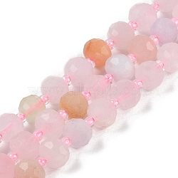 Natural Morganite Beads Strands, Faceted, Rondelle, with Seed Beads, 7.5~8x6.5mm, Hole: 1.4mm, about 45~46pcs/strand, 15.75''(40cm)(G-H057-A03-01)