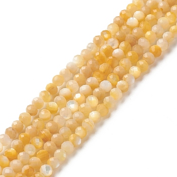 Natural Golden Yellow Shell Beads Strands, Faceted, Round, 3mm, Hole: 0.5mm, about 144pcs/strand, 15.55 inch(39.5cm)