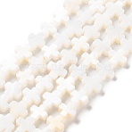 Natural Freshwater Shell Beads Strands, Cross, Floral White, 7.5~8x7.5~8.5x2.5~3mm, Hole: 0.7mm, about 50pcs/strand, 15.47''(39.3cm)(X-SSHEL-B002-11)