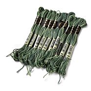 10 Skeins 6-Ply Polyester Embroidery Floss, Cross Stitch Threads, Segment Dyed, Dark Olive Green, 0.5mm, about 8.75 Yards(8m)/skein(OCOR-K006-A63)