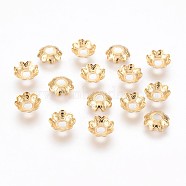 304 Stainless Steel Bead Caps, Multi-Petal, Flower, Real 18k Gold Plated, 7x2mm, Hole: 2mm(STAS-P220-16G)