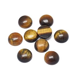 Natural Tiger Eye Cabochons, Half Round, 12x4~4.5mm(G-G788-D-08)