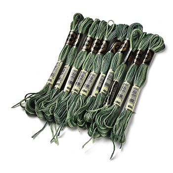 10 Skeins 6-Ply Polyester Embroidery Floss, Cross Stitch Threads, Segment Dyed, Dark Olive Green, 0.5mm, about 8.75 Yards(8m)/skein