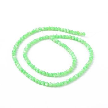 125Pcs Natural Freshwater Shell Beads, Dyed, Round, Light Green, 3mm, Hole: 0.5mm
