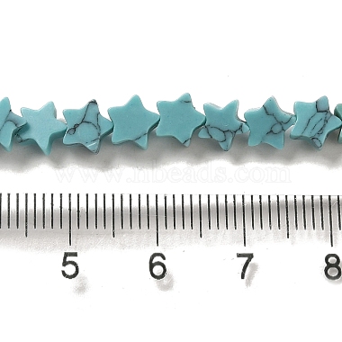 Dyed Synthetic Turquoise Beads Strands(G-G085-B32-02)-4