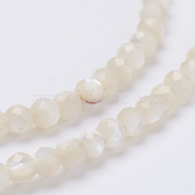 Natural Shell Beads Strands(G-E354-03)-4