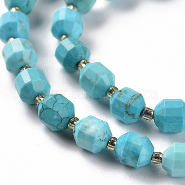 Synthetic Turquoise Beads Strands(G-S362-088B)-3