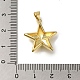 Rack Plating Brass Pendants(KK-G500-16G)-3