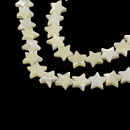 Star Shape Natural Sea Shell Beads Strands, 12~13x12~13x3~4mm, Hole: 1mm, about 38pcs/strand, 15.3 inch(X-SSHEL-F290-18A)