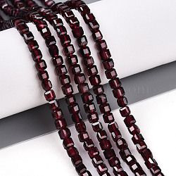 Natural Garnet Beads Strands, Faceted Table Cut Cube, 2~3x3x3mm, Hole: 0.6mm, about 125~129pcs/strand, 15.08~15.55''(38.3~39.5cm)(G-T141-58)