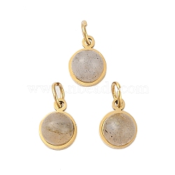 Ion Plating(IP) Natural Labradorite Half Round Charms with Jump Ring, Golden Tone 316 Surgical Stainless Steel Charms, 7.5x6x3.5mm, Hole: 2.5mm(STAS-A097-05G-01)