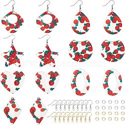 Nbeads DIY Resin Dangle Earring Making Kits, Including 14Pcs Star & Geometry Resin Pendants, Brass Earring Hooks & Jump Rings, Mixed Color, 70pcs/box(DIY-NB0005-55)