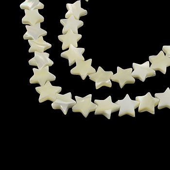 Star Shape Natural Sea Shell Beads Strands, 12~13x12~13x3~4mm, Hole: 1mm, about 38pcs/strand, 15.3 inch