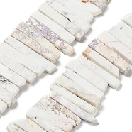Natural Howlite Beads Strands, Top Drilled Beads, Rectangle, 24~62x8~14x4~9mm, Hole: 1.8mm, about 34~39pcs/strand, 15.04''~15.51''(38.2~39.4cm)(G-L551B-09)