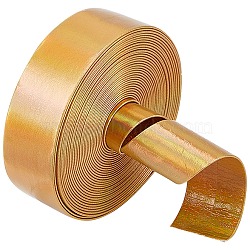 4.6~5M Laser Flat Imitation Leather Cord, Rainbow Color Cord for Clothes Decor, Silver, 25x0.8mm, about 4.6~5m/Roll(LC-GF0001-06E-02)
