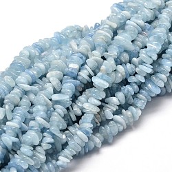 Natural Aquamarine Chip Beads Strands, 5~14x4~10mm, Hole: 1mm, about 15.5 inch~16.1 inch(X-G-E271-96)