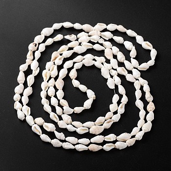 Natural Sea Shell Conch Bead Strands, 5.5~12.5mm, Hole: 1~2mm, about 135~145pcs/strand, 54~58.3 inch