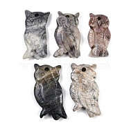 Natural Picasso Jasper Owl Carved Pendants, Animal Charms, 36.5~44x18.5~26x7~8.5mm, Hole: 3mm(G-C157-01B)