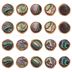 20Pcs Natural Abalone Shell/Paua Shell Copper Wire Wrapped Flat Round Cabochons, Golden, 10x3mm(FIND-BC0005-40)