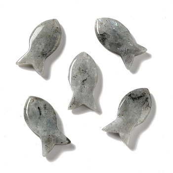 Natural Labradorite Pendants, Fish Charms, 39x20x7~7.5mm, Hole: 2.3mm