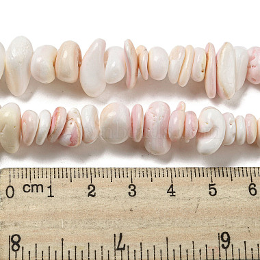 Natural Seashell Shell Beads Strands(SSHEL-H072-10)-4