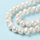 Natural Cultured Freshwater Pearl Beads Strands(PEAR-E018-53)-4