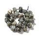 Natural Labradorite Beads Strands(G-E578-03)-3