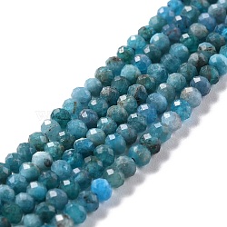 Natural Apatite Beads Strands, Faceted, Rondelle, Grade AB+, 4x3mm, Hole: 0.8mm, about 138pcs/strand, 15.35''(39cm)(G-K312-21B)