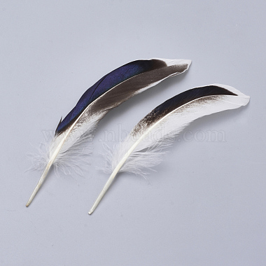 Feather Costume Accessories(X-FIND-Q046-15F)-2