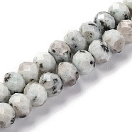 Natural Sesame Jasper Beads Strands, Faceted, Rondelle, 8x6mm, Hole: 1mm, about 63~64pcs/strand, 14.96''~15.35''(38~39cm)(G-K380-A08-01)