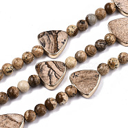 Natural Picture Jasper Strands, with Light Gold Brass Edge, Triangle & Round, 6.5mm, Hole: 1.2mm, Triangle: 16.5x17.5x4mm, Hole: 1.2mm, about 23pcs/strand, 6.69 inch(17cm)(G-T131-65)