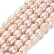 Natural Cultured Freshwater Pearl Beads Strands, Rice, Grade AB, Linen, 8.5~14x8~9mm, Hole: 0.5mm, about 32pcs/strand, 14.37~14.65 inch(36.5~37.2cm)(PEAR-E016-070)