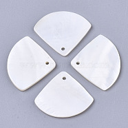 Natural Freshwater Shell Pendants, Fan, White, 19.5x23.5x2mm, Hole: 1.2mm(SHEL-R047-19)
