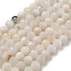 Natural Rainbow Moonstone Beads Strands, Faceted, Round, 4.5mm, Hole: 0.7mm, about 88~89pcs/strand, 14.96~15.08''(38~38.2cm)(G-A097-A02-06)
