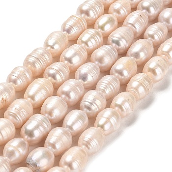Natural Cultured Freshwater Pearl Beads Strands, Rice, Grade AB, Linen, 8.5~14x8~9mm, Hole: 0.5mm, about 32pcs/strand, 14.37~14.65 inch(36.5~37.2cm)