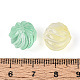 Backfarbe transparente Glasperlen(DGLA-N018-07)-3