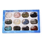 Natural & Synthetic Mixed Gemstone Frog Figurines Set, Ornament for Home Office Desktop Decoration, with Paper Gift Box, 18~25x46~54x35~43mm, about 12pcs/set(G-Q615-11)