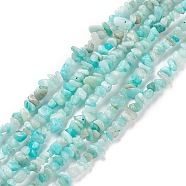 Natural Exotic Amazonite Chips Beads Strands, 5~8mm, Hole: 0.3mm(F070-1)
