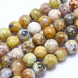 Natural Yellow Opal Beads Strands, Round, 10mm, Hole: 0.8mm, about 40pcs/strand, 38cm(G-I213-18-10mm)